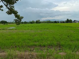 出售 土地 在 San Kamphaeng, Chiang Mai