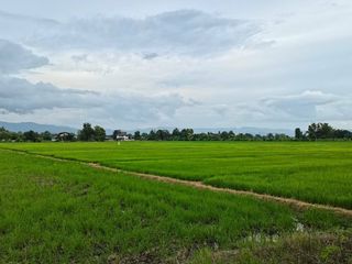 出售 土地 在 San Kamphaeng, Chiang Mai