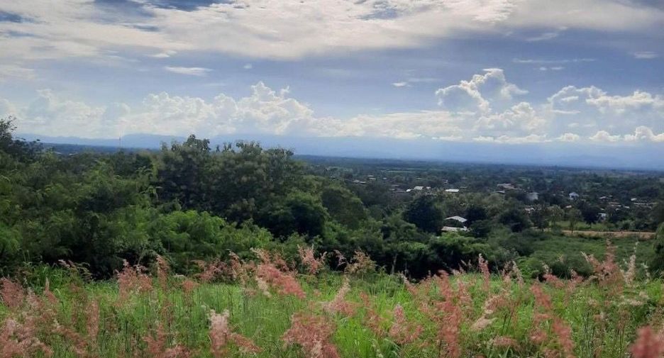For sale land in Mueang Phetchabun, Phetchabun