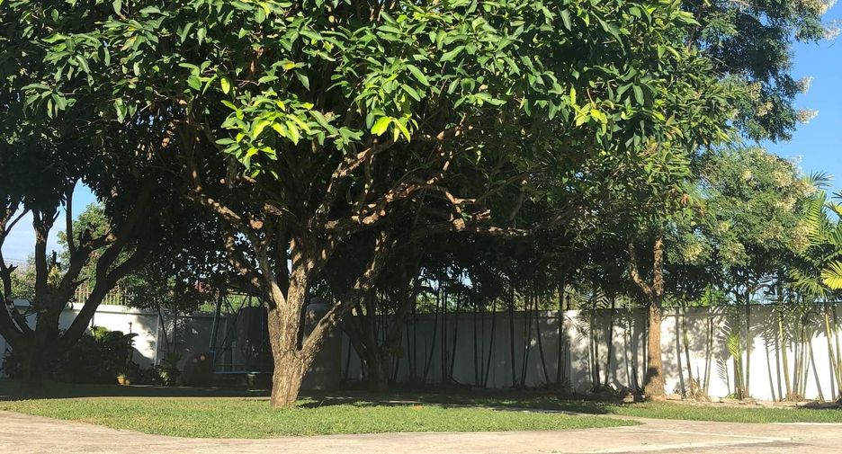 For sale 3 bedrooms house in San Kamphaeng, Chiang Mai