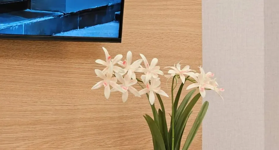 For rent studio condo in Bang Lamung, Chonburi