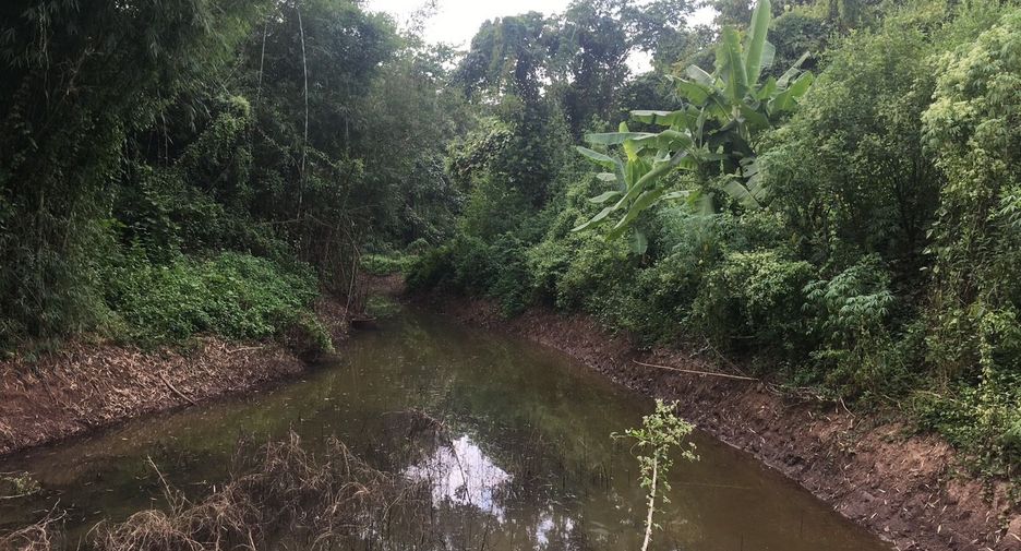 For sale land in Thung Chang, Nan