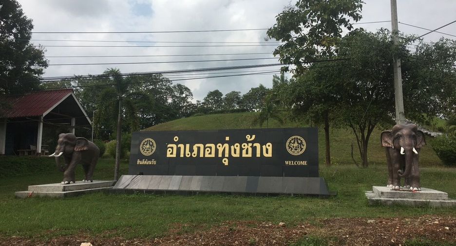 For sale land in Thung Chang, Nan