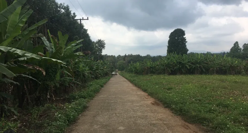 For sale land in Thung Chang, Nan