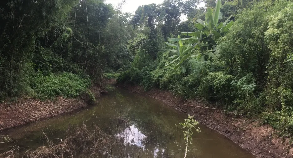 For sale land in Thung Chang, Nan
