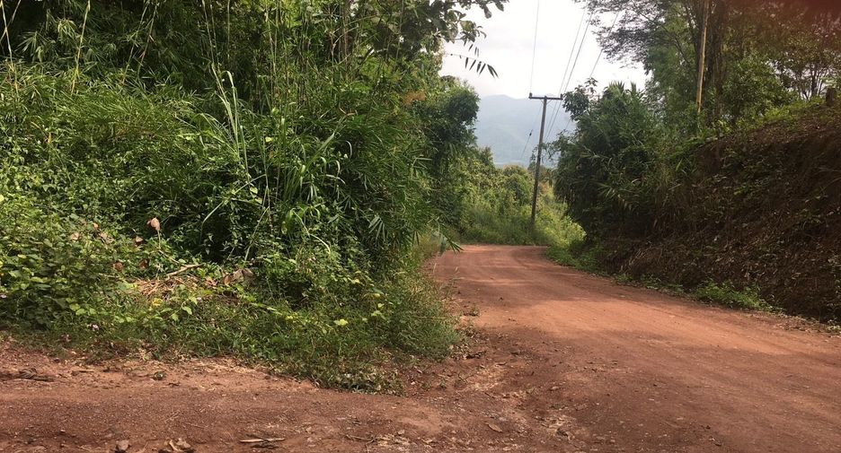 For sale land in Thung Chang, Nan