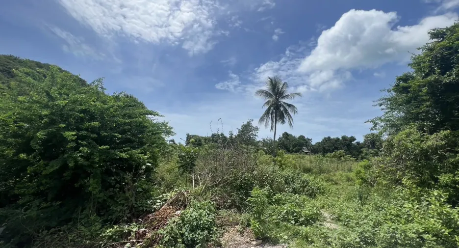 Terreno en venta en Sam Roi Yot, Prachuap Khiri Khan