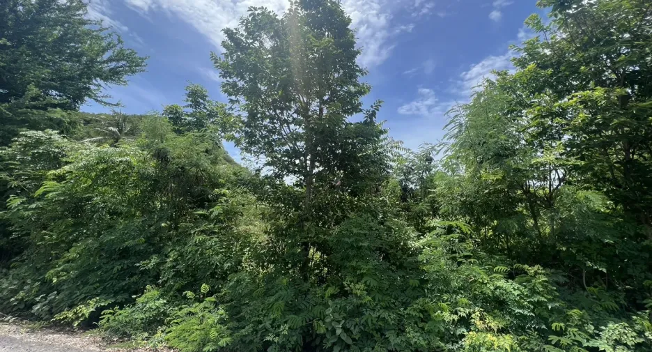 Terreno en venta en Sam Roi Yot, Prachuap Khiri Khan