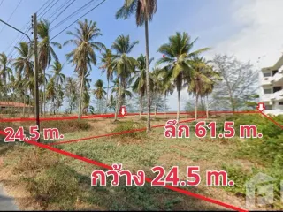 For sale land in Tha Sala, Nakhon Si Thammarat