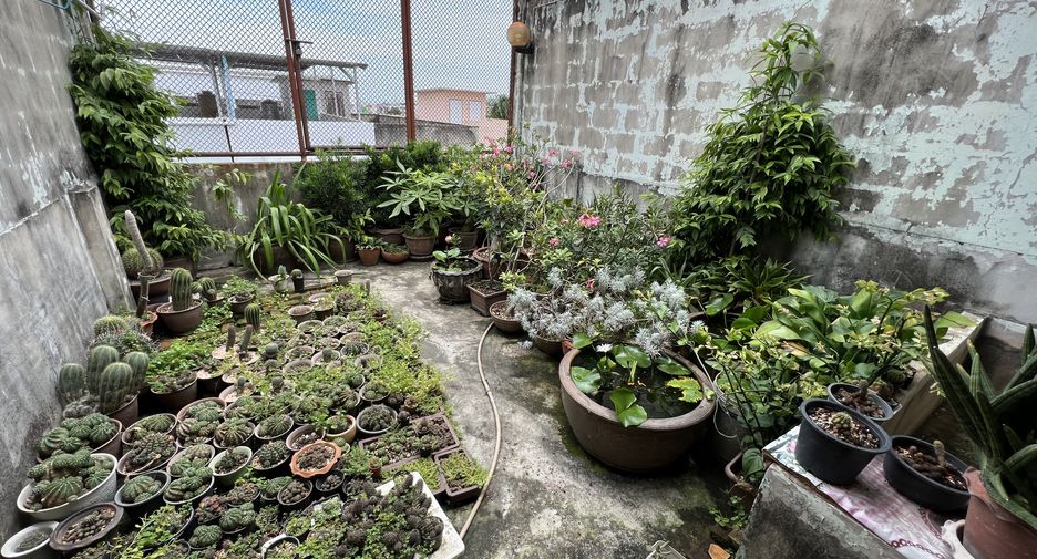 Reihenhaus zum Kauf mit 3 Zimmer in Bang Khun Thian, Bangkok