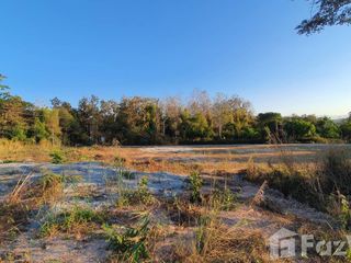 For sale land in Mae Taeng, Chiang Mai