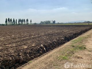 Terreno en venta en Tha Muang, Kanchanaburi