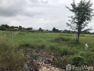 出售 土地 在 San Kamphaeng, Chiang Mai