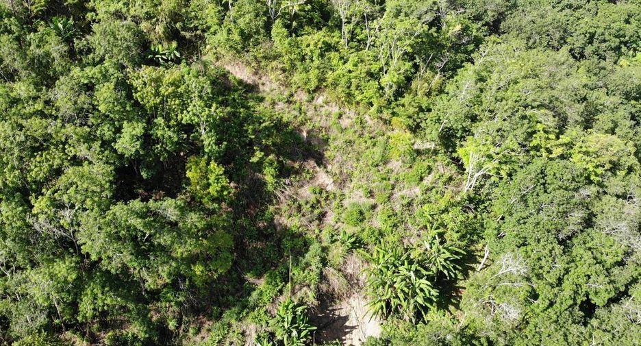 Terreno en venta en Kathu, Phuket