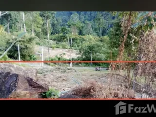 ขาย ที่ดิน ใน เกาะช้าง, ตราด