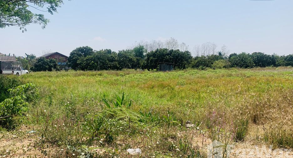出售 土地 在 San Kamphaeng, Chiang Mai