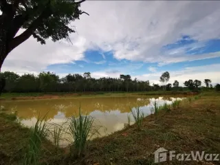 出售 土地 在 Seka, Bueng Kan