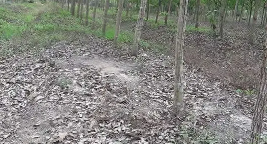 Продажа Участок в Seka, Bueng Kan