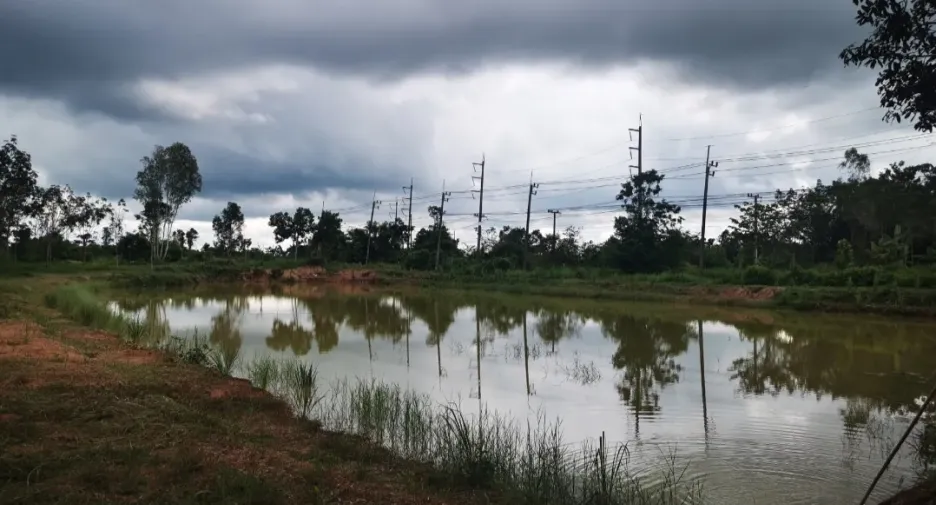 Продажа Участок в Seka, Bueng Kan