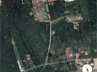 For sale land in Don Sak, Surat Thani