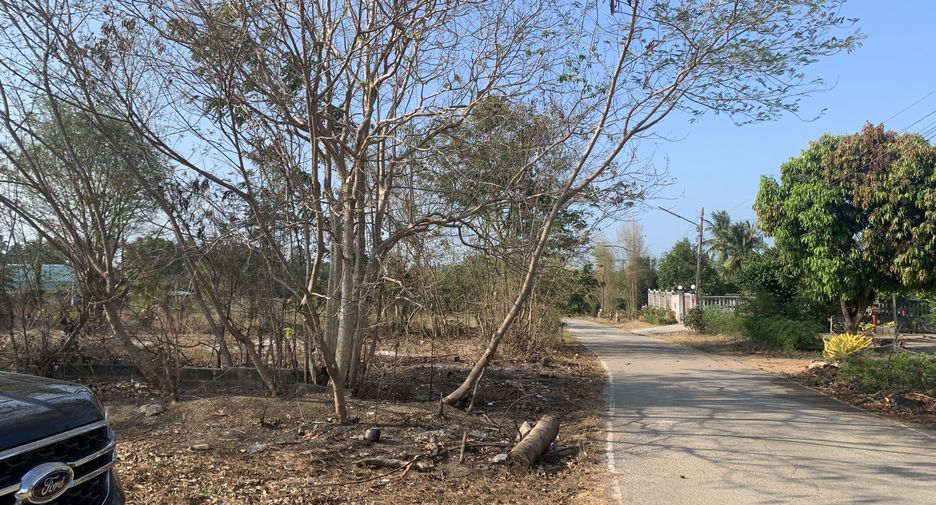 For sale land in Don Sak, Surat Thani
