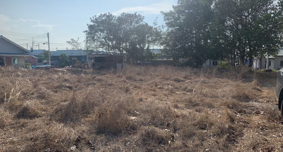 For sale land in Don Sak, Surat Thani