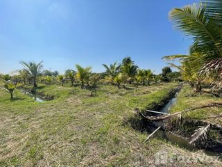 For sale land in San Pa Tong, Chiang Mai