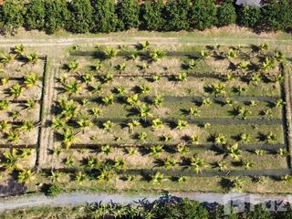 For sale land in San Pa Tong, Chiang Mai