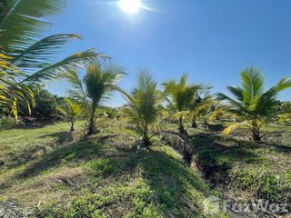 For sale land in San Pa Tong, Chiang Mai