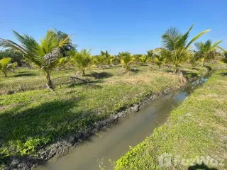 For sale land in San Pa Tong, Chiang Mai