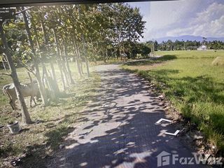 For sale land in San Sai, Chiang Mai
