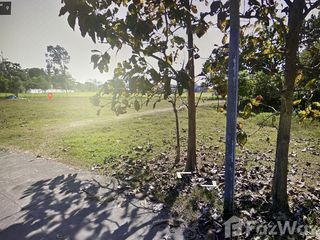 For sale land in San Sai, Chiang Mai