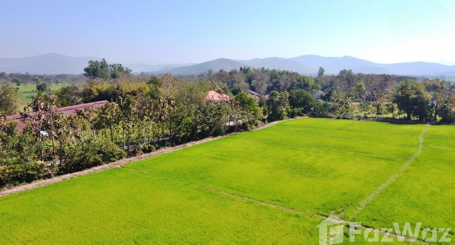 Grundstück zum Kauf in Doi Saket, Chiang Mai