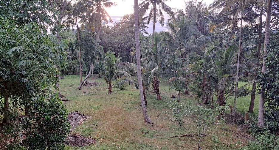 For sale land in Mueang Chumphon, Chumphon