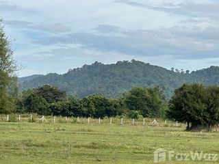 ขาย ที่ดิน ใน บ้านนา, นครนายก