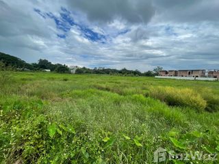 For sale land in San Sai, Chiang Mai