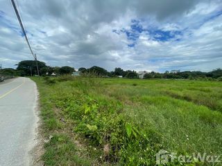 For sale land in San Sai, Chiang Mai