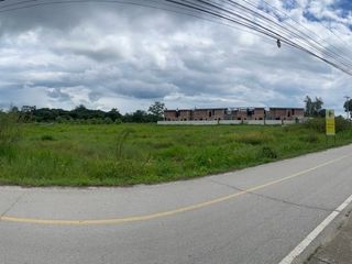 For sale land in San Sai, Chiang Mai