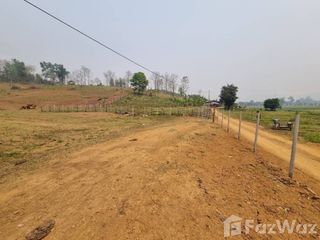 出售 土地 在 Mae Taeng, Chiang Mai