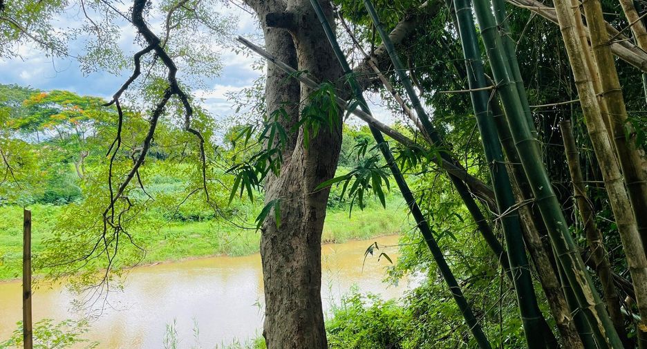 For sale land in Mae Rim, Chiang Mai