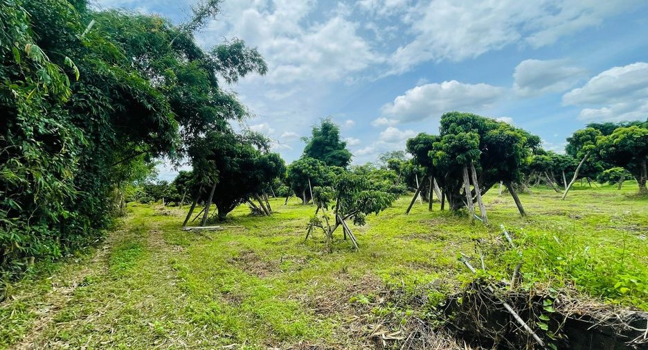 For sale land in Mae Rim, Chiang Mai