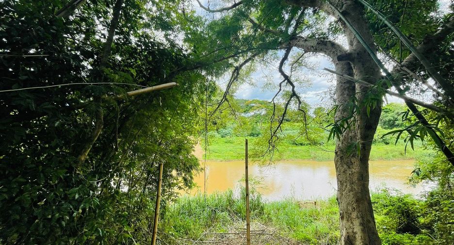 For sale land in Mae Rim, Chiang Mai