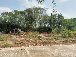 For sale land in San Pa Tong, Chiang Mai