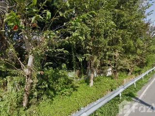 For sale land in San Sai, Chiang Mai