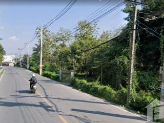 For sale land in San Sai, Chiang Mai