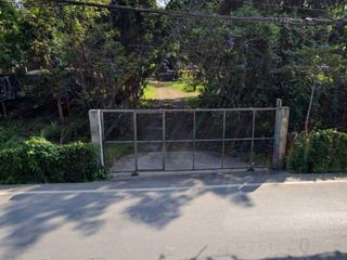 For sale land in San Sai, Chiang Mai