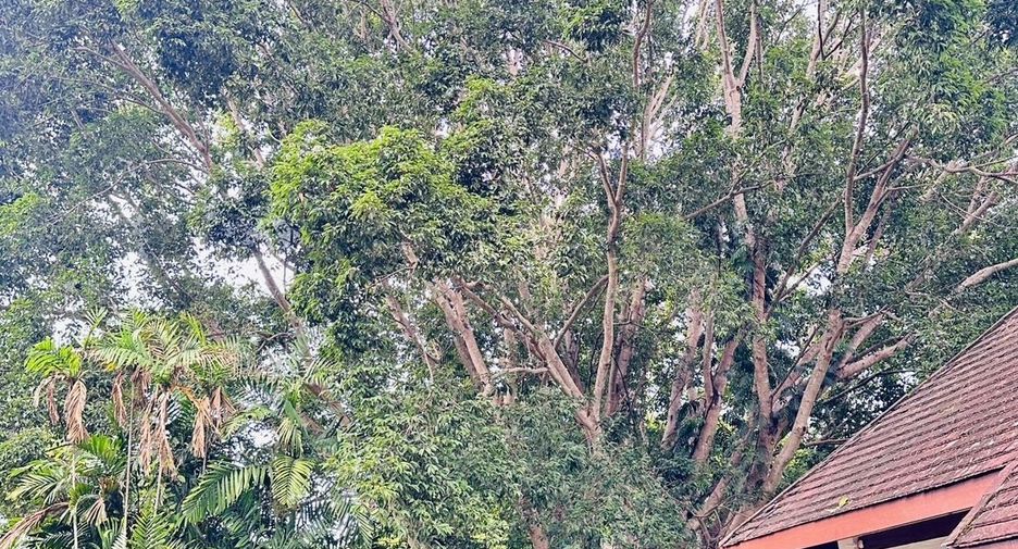 For sale land in Hang Dong, Chiang Mai