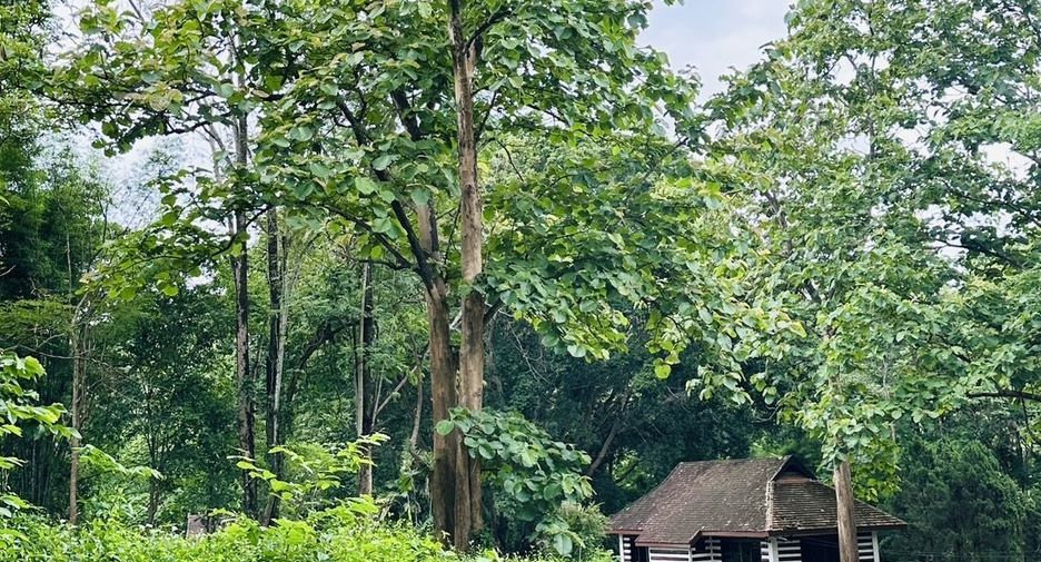 For sale land in Hang Dong, Chiang Mai