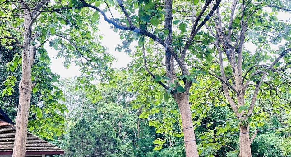 For sale land in Hang Dong, Chiang Mai