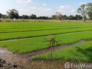 For sale land in Hang Dong, Chiang Mai